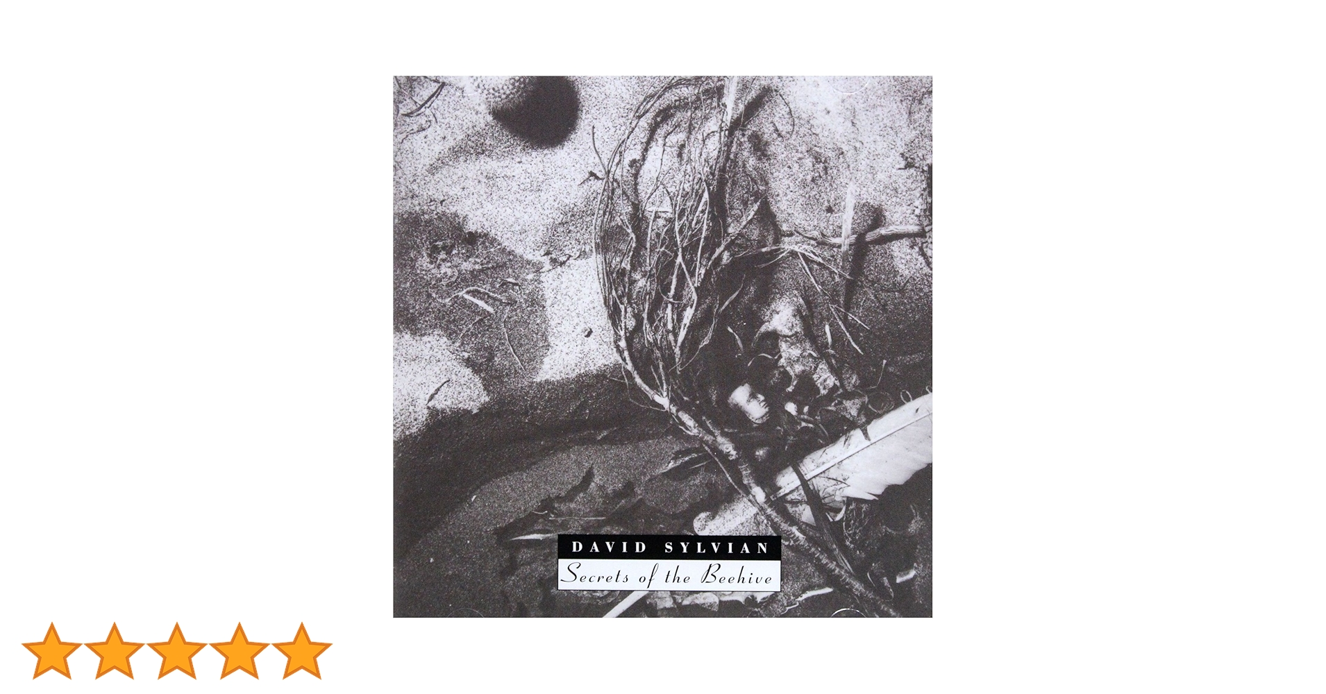 Secrets Of The Beehive: Amazon.co.uk: CDs & Vinyl